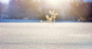 Wenn Sie vorhaben, in diesem Winter Ski laufen zu gehen, denken Sie daran, dass Sie Ihre Sonnenschutzpflege einpacken. Aber wussten Sie, dass ein Sonnenschutz auch in der Stadt wichtig ist, sogar im Winter? Teilen Die Wintersonne ist dennoch schädlich. Im Sommer ist es bekannt, dass ausreichend Sonnenschutz notwendig ist, der Aufenthalt in der Sonne nicht zu lang sein und die Sonne zwischen 12 und 16 Uhr gemieden werden sollte. Sie sollten sich mit einem Hut schützen und eine gute Sonnenschutzpflege verwenden. Aber vergessen wir nicht, wie gefährlich die Sonne auch im Winter sein kann! Wenn die Sonnenstrahlen im Winter auf die Erde treffen, dann in einem stumpferen Winkel als im Sommer, aber sie bleiben dennoch das ganze Jahr über gefährlich für die Haut. Daher ist es wichtig, sich in jeder Jahreszeit gegen die Sonne zu schützen, auch wenn Sie nicht in die Berge gehen. Im Winter lassen uns Kälte und Wolken oft vergessen, dass die Sonne scheint. Aber die Wolkendecke kann je nach Dicke bis zu 80 % der UV-Strahlen durchlassen. Außerdem reflektiert der Schnee die UV-Strahlen zu einem erheblichen Maße. Die Menge der UV-Strahlen, die unsere Haut aufnimmt, hängt nicht nur von der direkten Strahlung ab, sondern auch von den reflektierten Strahlung. Schutz gegen die Sonne der Berge Wir können es nur wiederholen, nur weil es kalt ist, ist die Sonne nicht weniger schädlich! Erhöhter UVA- und UVB-Konsum ist die Hauptursache für vorzeitige Hautalterung: die Haut verliert an Elastizität, wird feiner und empfindlicher und es treten Falten und Pigmentflecken auf. In der Höhe filtert die Atmosphäre die ultraviolette Strahlung weniger und die Art, in der der Schnee die Sonnenstrahlen reflektiert, geben Ihnen nach einem Tag an der Sonne das Gefühl verbrannter Haut. Sonnencreme ist keine Option: Sie können auf sie nicht einfach verzichten, mit dem Vorwand, es sei nicht so schönes Wetter. Sonnencremes, die speziell für die Berge entwickelt wurden, sind in der Lage, die Haut vor Sonnenbränden zu schützen und die Haut mit Feuchtigkeit zu versorgen. Um effektiv wirken zu können, müssen sie aber regelmäßig über den Tag verteilt aufgetragen werden - wie am Strand! Sonnenschutz in der Stadt unter der Lupe Es ist bekannt, dass es die UVA Strahlen sind, die man nicht fühlt (im Gegensatz zur UVB-Strahlung, die brennt) und die den ganzen Tag durch Wolken oder Fenster von Autos und Büros scheinen. Seine Haut gegen die ultraviolette Strahlung zu schützen, ist eines der besten Mittel gegen Falten, das es gibt, ebenso wie Feuchtigkeit! Japaner und Amerikaner haben das gut verstanden und verlassen das Haus nie ohne Lichtschutzfaktor. In Frankreich sind wir noch ein wenig zögerlich... Wir denken nicht daran, uns im Winter in der Stadt gegen die Sonne zu schützen. Es ist gar nicht nötig, im Februar in eine Creme mit LSF 25 zu investieren, ein Faktor von 15 reicht vollkommen aus. Idealerweise investieren Sie in eine Feuchtigkeitscreme, die auch gegen die Sonne schützt: diese am Morgen aufzutragen reicht aus, um Sie tagsüber gegen die Wintersonne in der Stadt zu schützen.